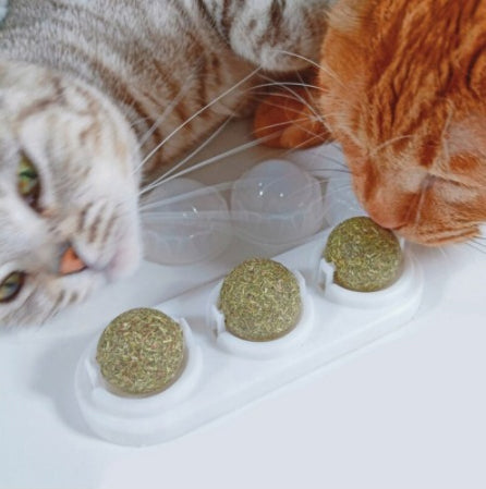 Catnip Para Gatos