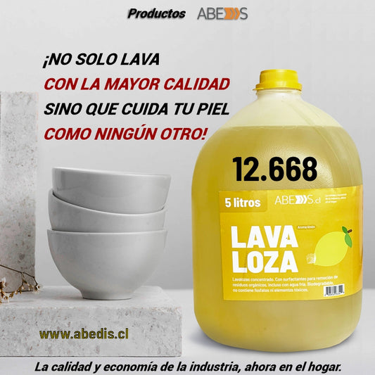 Lavaloza 5 litros de Abedis